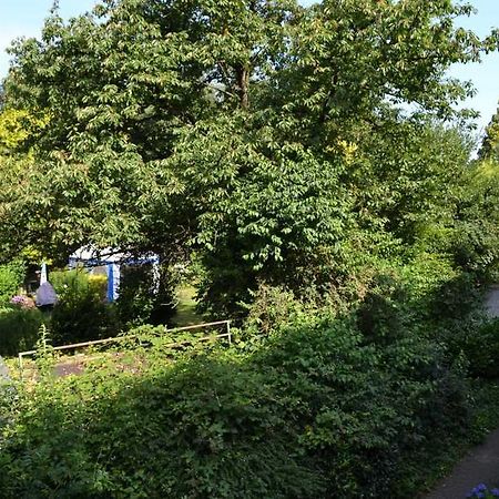 4 Sterne Ferienwohnungen Lavendel Brueggen Bruggen  Exteriér fotografie